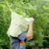 ANGEBOTE für Jugendliche