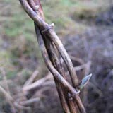 Links zu Freunden und Geschäftspartnern