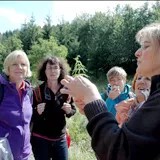 Wandern für Erwachsene